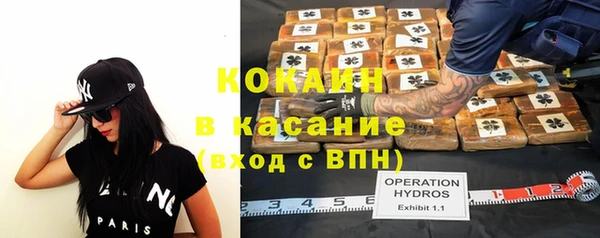 прущие грибы Пестово