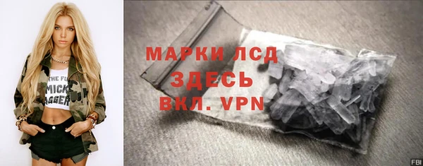 прущие грибы Пестово