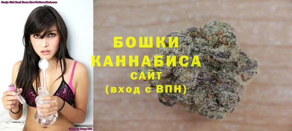 прущие грибы Пестово