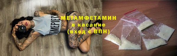 прущие грибы Пестово