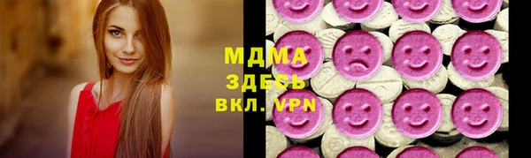 индика Переславль-Залесский