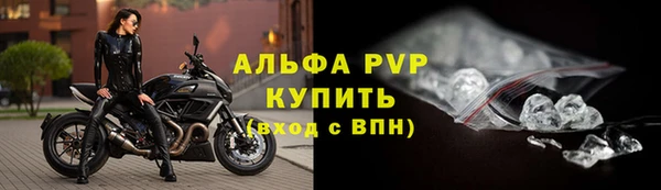 индика Переславль-Залесский