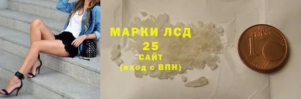индика Переславль-Залесский