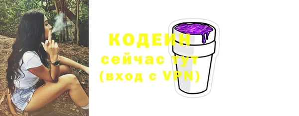 индика Переславль-Залесский
