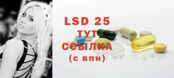 прущие грибы Пестово