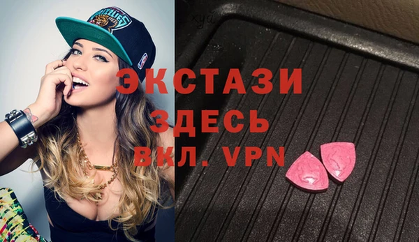 индика Переславль-Залесский