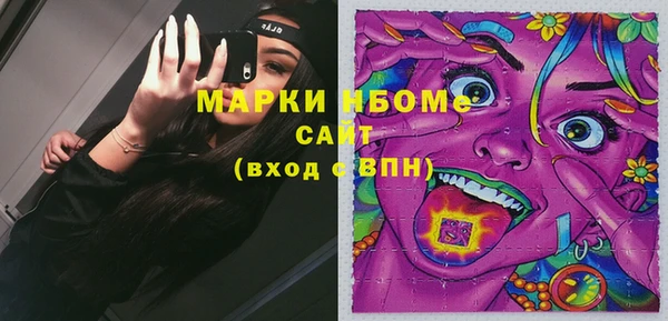 прущие грибы Пестово
