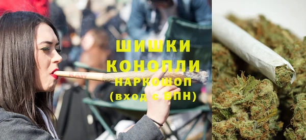 прущие грибы Пестово