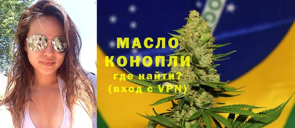 индика Переславль-Залесский