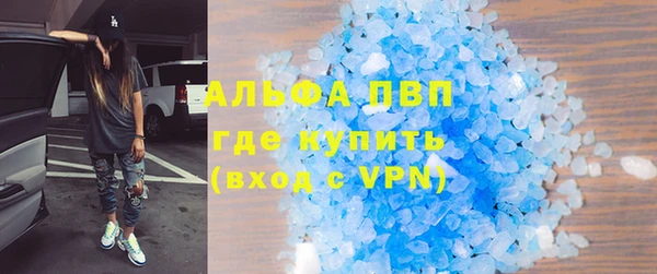 индика Переславль-Залесский